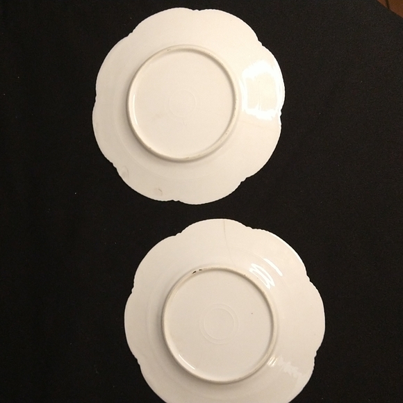 Old china plates Flora print - Picture 4 of 9